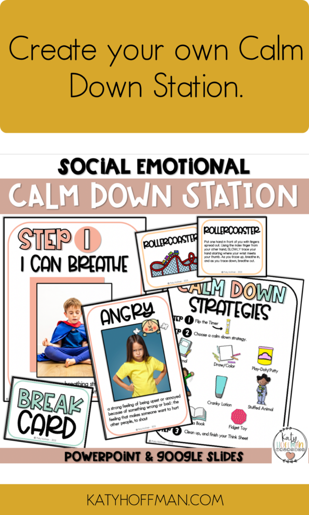 social emotional regulation